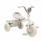 Foldable Tricycle Trike with Pedals